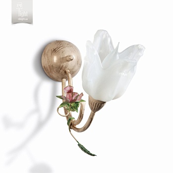 1811_cl95_pla81_cp216_4_result_1.jpg 1811_cl95_pla81_cp216_4_result_1.jpg